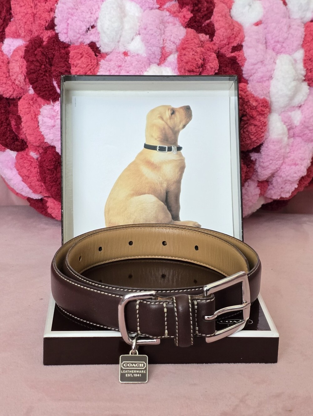 Vintage Coach XL Dog Collar NIB - Never Used!